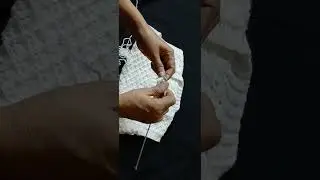 White skeeve .