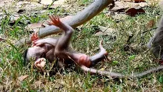 MG-Because Of Kidnap! What Problem Happening On Baby Julina?