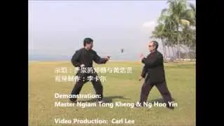 永春白鹤拳实用法门  Yong Chun White Crane Fist Applications
