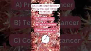 What is the most common type of cancer in men worldwide?