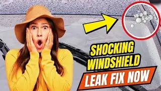 How to Fix A Leaking Car Windshield (Save $$$ on Repairs)