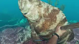 Stranded Deep Tag 51 Der Meg