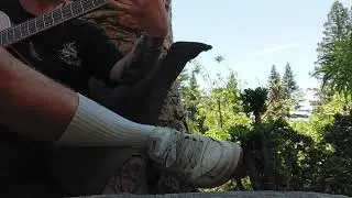 Your video needs a title..