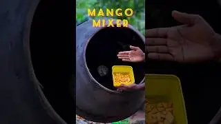 අඹ Mixer | Mango Mixer | Mango Taste | අඹ කමු | sl crazy foods #foodshorts #mango