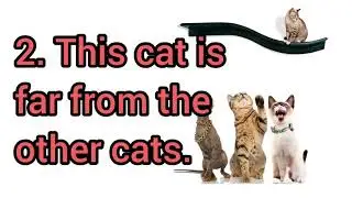 How to Pronounce This cat is far from the other cats in American English