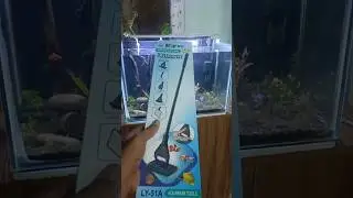 My New Aquarium Accessories