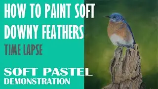 How to Paint Soft Downy Feathers - How to Paint Birds - Birds in Soft Pastel