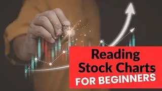 How To Read Stock Charts | Find Good Stocks for Beginners