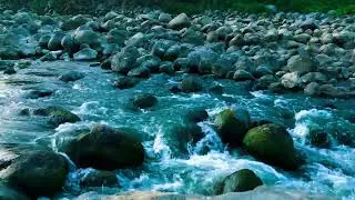 Comforting River Sound with Calm Sounds for Soothing the Soul, Mindfulness & Mental Clarity