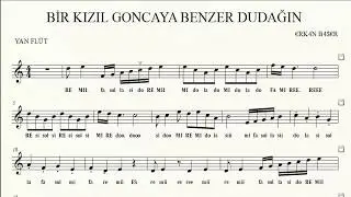 BİR KIZIL GONCAYA BENZER DUDAĞIN yan flüt NOTALARI eşlikli