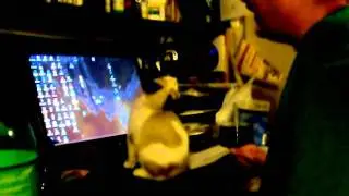 HPIM2940.AVI