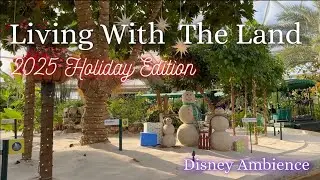 🌿 Living with the Land- Christmas 2025🎄Disney Ambience