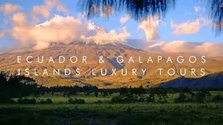 Ecuador & Galapagos Luxury Tours | Blue Parallel