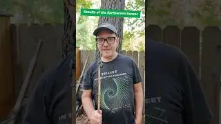 Earthworm Sensors: the results are in