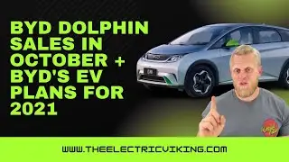 BYD Dolphin sales in October + BYD's EV plans for 2021