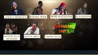Best of Reggae & World Music Acts premiering this Sunday @ 8pm, 39th  IRAWMA Awards at irawma.com
