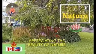 NATURE | APPRECIATING THE BEAUTY OF NATURE | RELAXING ENJOYING THE BEAUTIFUL GARDEN.
