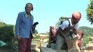 Chantier de restauration de la couverture en laves du transept de l'église de Chiddes - FFPPS