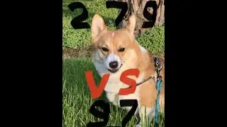 279 vs 97 LC BATTLE (fully enjoyed KE) Last Shelter: Survival