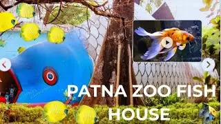  || PATNA ZOO FISH HOUSE PATNA ZOO || FISH HOUSE ||FULL VIDEO WATCH || BAILEY ROAD || 🐠🐟