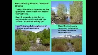 Ecology and Restoration of Riparian Vegetation