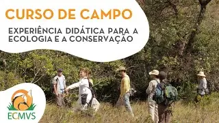 Curso de campo: experiência didática para a Ecologia e a Conservação