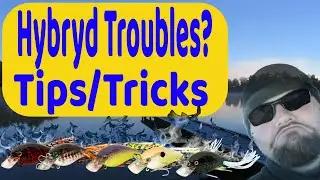 Hybryd Issues? I got you coverd!
