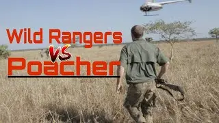 IVAN CARTER'S W.A.R S1 E8 Secret Trade | African animal documentary Hindi | African wildlife