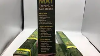 Exo Terra Forest Moss Mat | Online Pet Supplies | Petco Direct