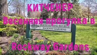 🌷КИТЧЕНЕР, ОНТАРИО.  Весенняя прогулка в Rockway Gardens🌷