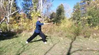 Southern Shaolin 18 Louhans golden bell fist/ gum gong kuen- form 2