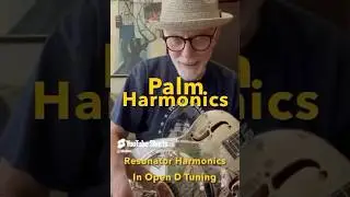 Play Slide Guitar in 5 Min. or Less: Resonator Guitar PALM Harmonics in Open D Tuning (DADF#AD)
