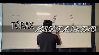 Mediastino 2025- En vivo y a pizarrón