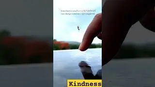 SMALL ACTS OF KINDNESS | LOVE | MUSIC | NATURE