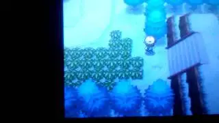how to get shaking grass in pokemon white/black