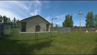 Military Working Dogs (FULL 360 VR!)