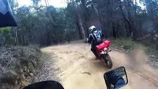 Mount Terrible Sep 2017