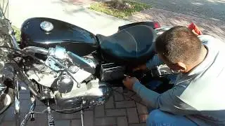 Sportster No horn, No blinkers, No brake lights, N
