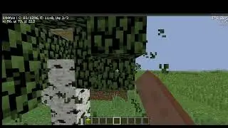MINECRAFT1