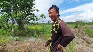 SEMANGAT TANGGUH‼️BLI NYOMAN TANAM PADI DAN DAUN BAWANG 