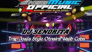 DJ SENORITA STYLE DESMO MUSIC 