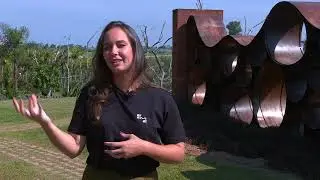 TV USP News No. 91 - Aramat Park
