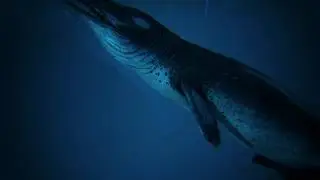 About dinosaurs life, basilosaurus : an ancient whale | The best jurassic world and park channel