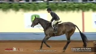 A Judges Perspective 2016 AQHA Senior Working Hunter World Champion