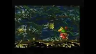 #8 - Donkey Kong Country 2: Diddy's Kong Quest - Stickerbush Symphony