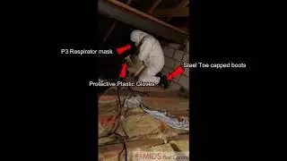 MIDS Pest Control  Loft Clearance