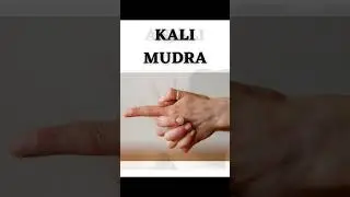 Be Active and Alert || Hand Mudra's
