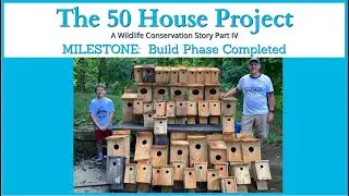 #181 50 House Project Milestone - Build Phase Completed