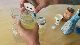 EASY DIY Fly Trap