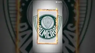 E o Palmeiras Est&aacute; Na Finaaaaaaaaal!